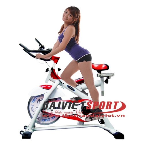 Xe đạp tập thể dục BK-2000 NEW VERSION